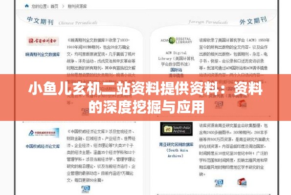 小鱼儿玄机二站资料提供资料:资料的深度挖掘与应用