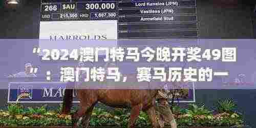 “2024澳门特马今晚开奖49图”:澳门特马,赛马历史的一页