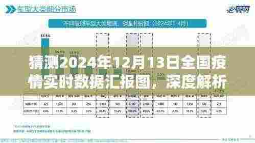 深度解析,预测与评测2024年12月13日全国疫情实时数据汇报图