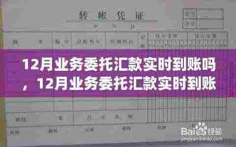 12月业务委托汇款实时到账,启程自然美景探索的金融桥梁