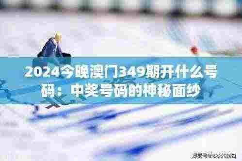 2024今晚澳门349期开什么号码：中奖号码的神秘面纱