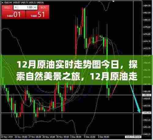 12月原油走势图解析,自然美景背后的宁静力量与微笑启程