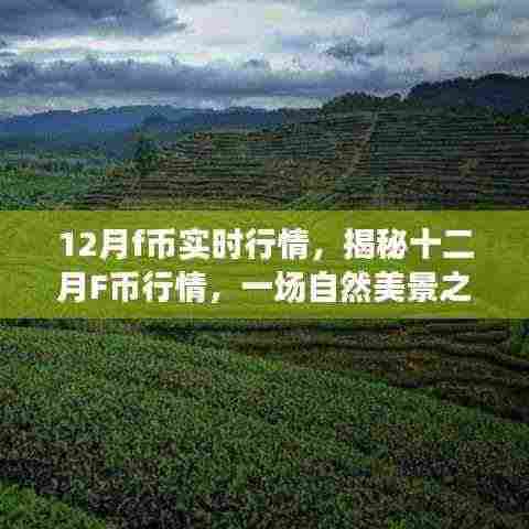 揭秘十二月F币行情,一场自然美景之旅探寻内心平和宁静的奥秘