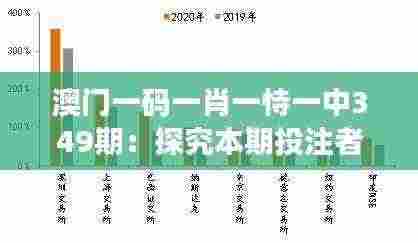 澳门一码一肖一恃一中349期：探究本期投注者行为与决策过程