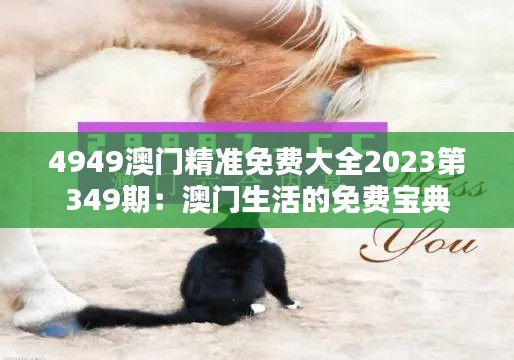 4949澳门精准免费大全2023第349期:澳门生活的免费宝典