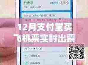 支付宝飞机票购买与实时出票指南，从初学者到进阶用户的详细步骤