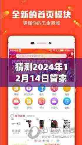 猜测2024年12月14日管家婆一码一肖100中奖:一场关于运气与概率的游戏