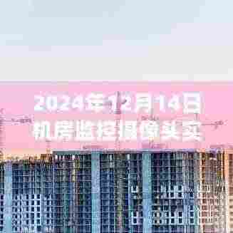 熊经鸟伸 第4页