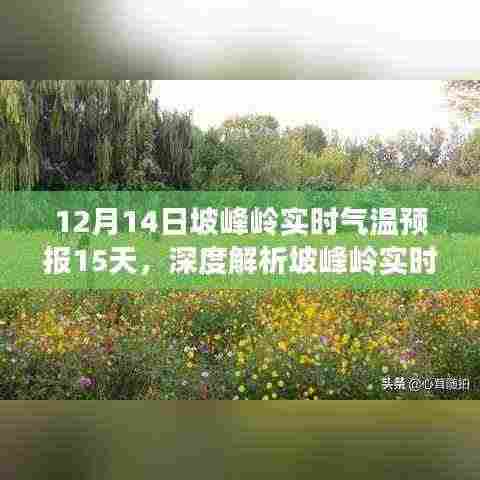 改弦易张 第6页