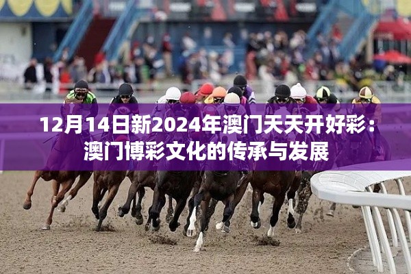 12月14日新2024年澳门天天开好彩:澳门博彩文化的传承与发展
