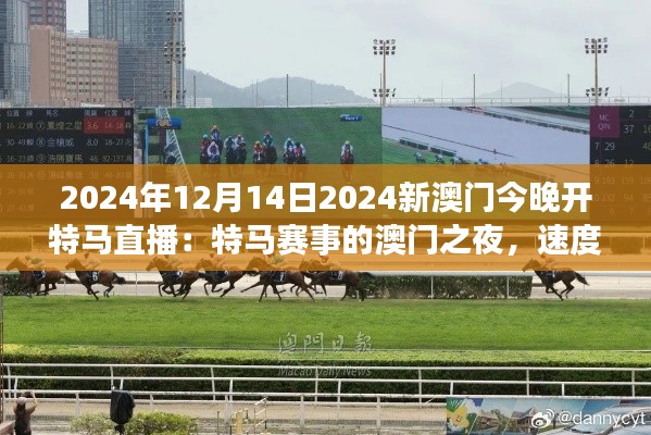 2024年12月14日2024新澳门今晚开特马直播:特马赛事的澳门之夜,速度与荣耀的交响