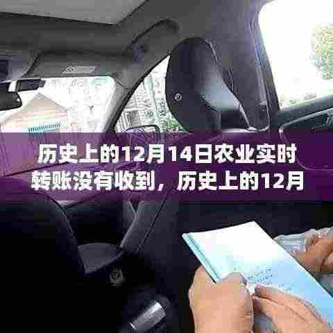 历史上的12月14日,农业转账的意外与心灵之旅的交汇点