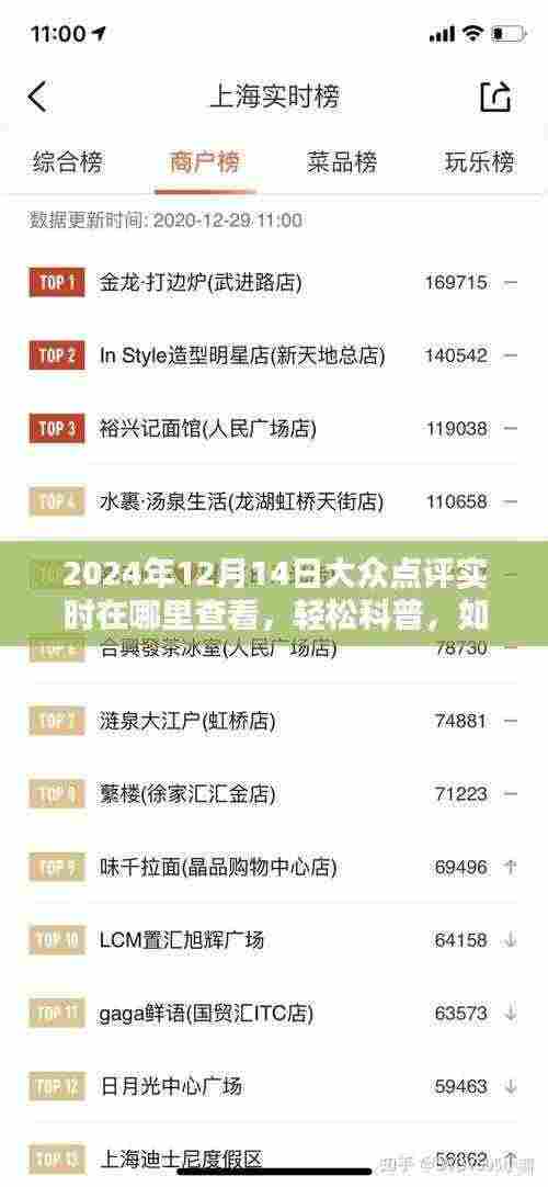 轻松科普，如何实时查看大众点评在特定日期的动态（以2024年12月14日为例）