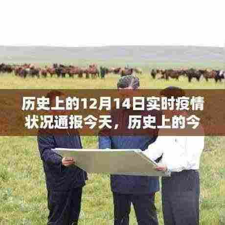 历史上的十二月十四日全球疫情实时状况通报，今日疫情概览与回顾