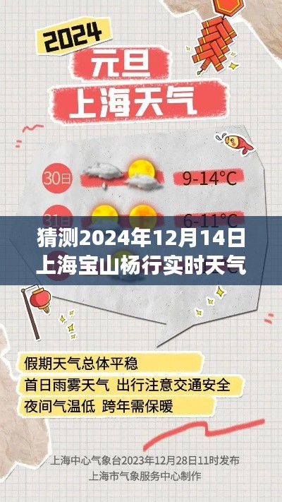 气候变迁下的上海宝山杨行天气预报,2024年12月14日的实时天气观察