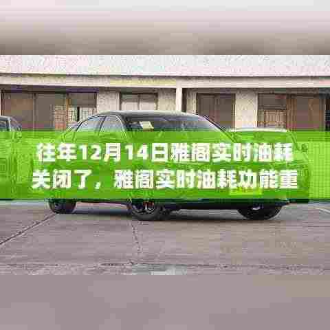 雅阁实时油耗功能重置指南,适用于初学者与进阶用户的重置步骤及往年常见问题解析