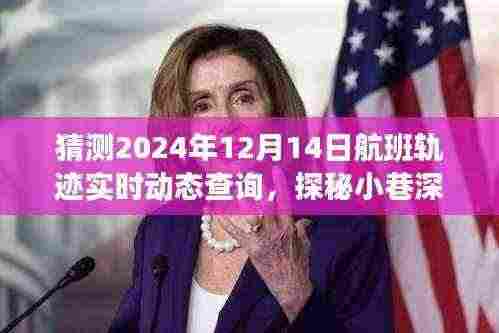 探秘小巷深处的航空轨迹追踪秘境,揭秘航班轨迹实时动态查询之旅(预测至2024年12月14日)