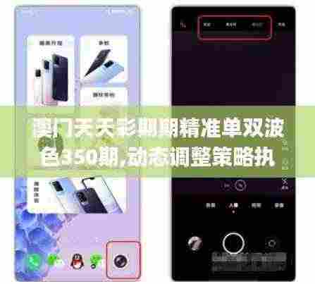 澳门天天彩期期精准单双波色350期,动态调整策略执行_Lite7.386