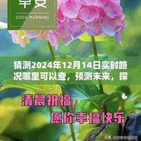 探索实时路况查询途径,预测未来路况,以2024年12月14日为例评测文章