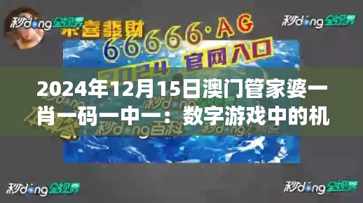 2024年12月15日澳门管家婆一肖一码一中一:数字游戏中的机遇与挑战分析