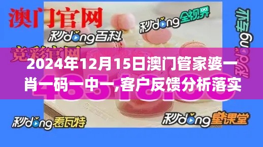 2024年12月15日澳门管家婆一肖一码一中一,客户反馈分析落实_进阶版11.841