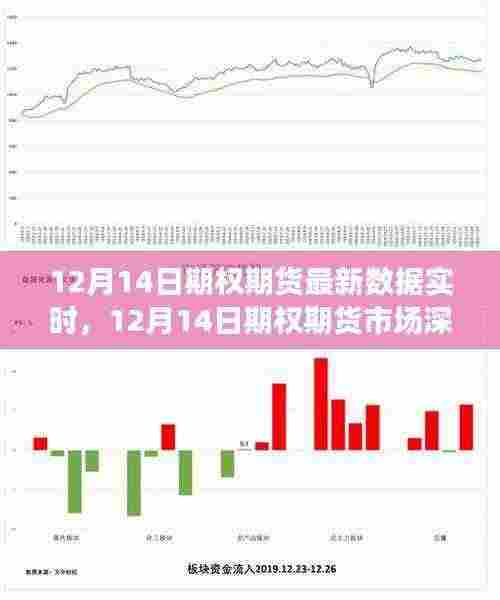 最新实时数据报告,深度解析12月14日期权期货市场动态