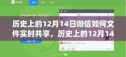 微信文件实时共享功能深度解析与介绍,历史上的12月14日回顾与评测