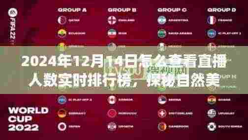 揭秘直播人气巅峰,2024年12月14日直播人数实时排行榜,探寻自然美景之旅的心灵共舞