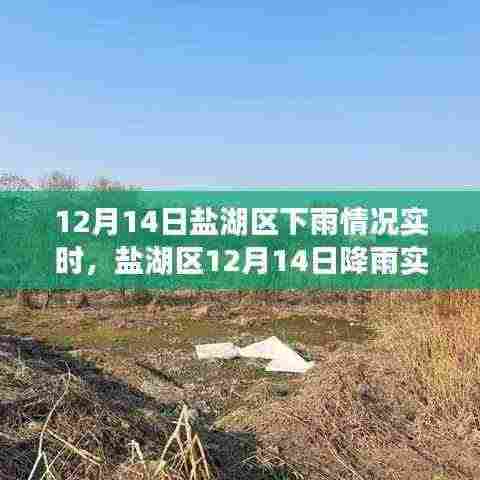 盐湖区降雨实况分析,12月14日雨情实时报道