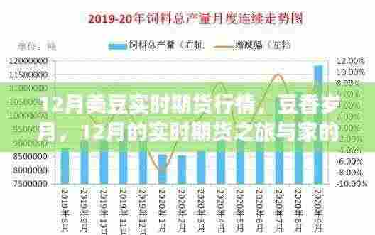 12月美豆实时期货行情，豆香岁月中的期货之旅与家的温馨