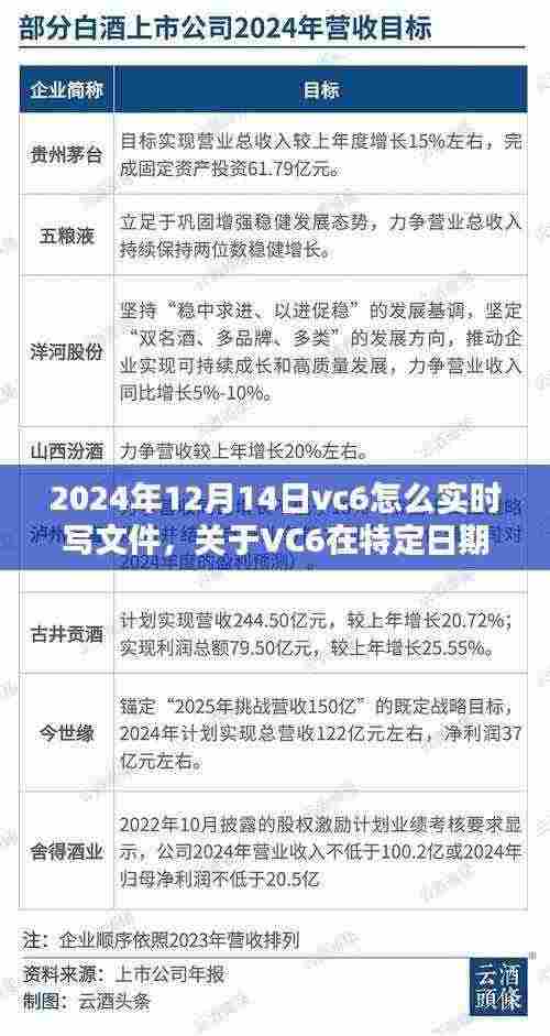 关于VC6在特定日期实时写文件的探讨,方法与观点分析指南