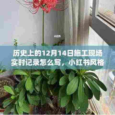 历史上的12月14日施工现场实时记录全解析,小红书风格指南