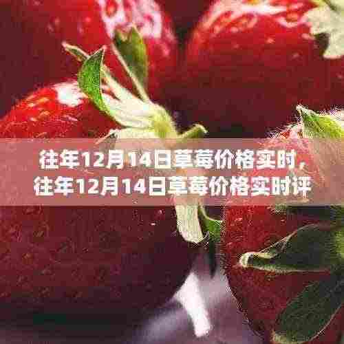 往年12月14日草莓价格实时分析,品质、体验、竞争及用户洞察综述
