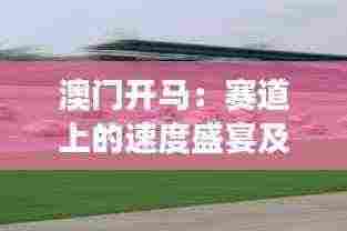 澳门开马:赛道上的速度盛宴及其对旅游业的推动力