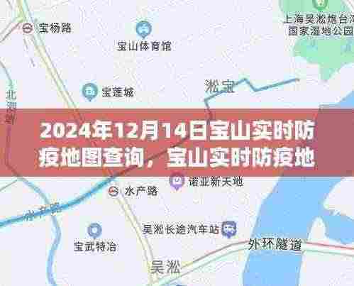 宝山实时防疫地图智能查询，科技赋能筑牢防线，开启智能防疫新时代