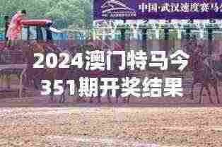 2024澳门特马今351期开奖结果：演绎激情与速度的较量