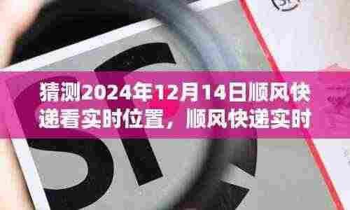 2024年12月14日顺风快递实时追踪与预测,探索未来轨迹的细节