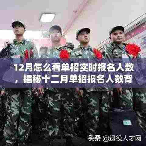 揭秘十二月单招实时报名人数背后的秘密,掌握报名动态全攻略