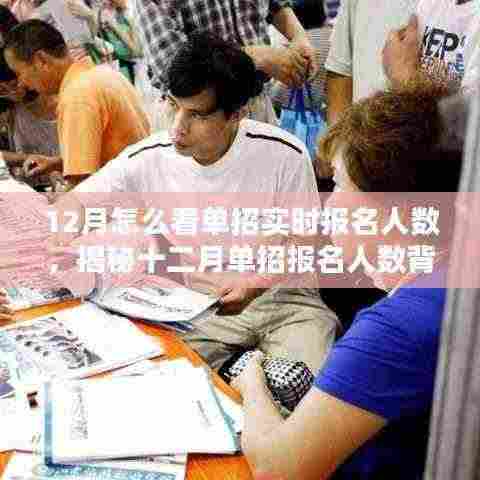揭秘十二月单招实时报名人数背后的秘密,掌握报名动态全攻略