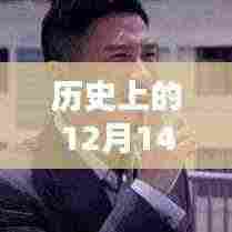 揭秘历史12月14日电影票房数据，实时查询平台解析与数据揭秘