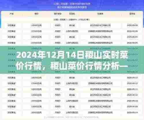 2024年12月14日稷山菜价行情实时报告及分析