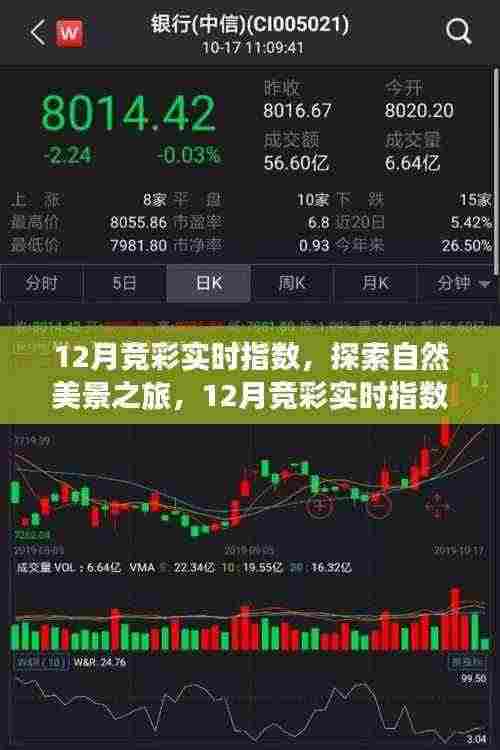 12月竞彩实时指数,自然美景之旅,探寻内心宁静与平和的启程