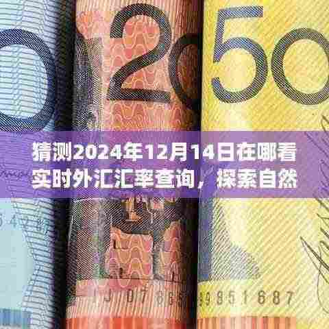 探索未来外汇汇率查询点,心灵港湾与自然美景之旅,预测实时外汇汇率查询体验(2024年12月14日)