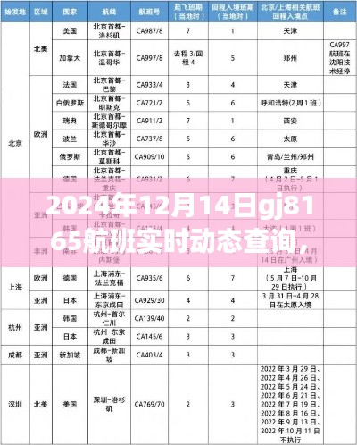 独家解析,揭秘gj8165航班实时动态查询系统深度评测与全面解读