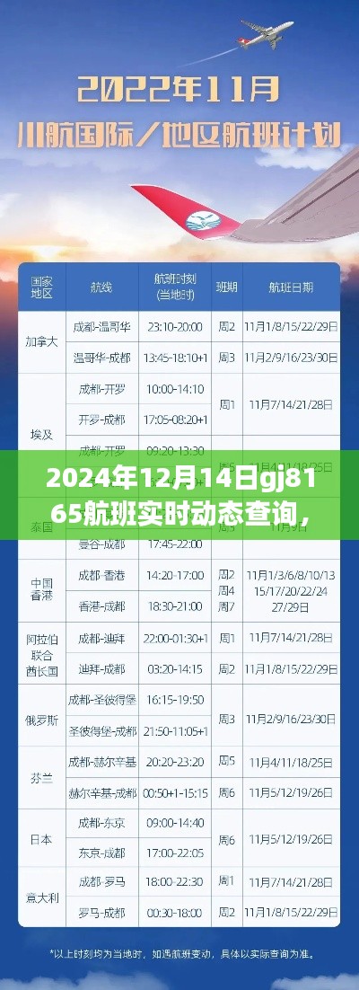 独家解析,揭秘gj8165航班实时动态查询系统深度评测与全面解读