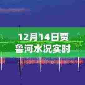 贾鲁河畔温馨水日，爱与陪伴的十二月十四日实时水况