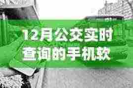 探秘特色小店,揭秘公交实时查询手机软件与小巷深处的公交神器