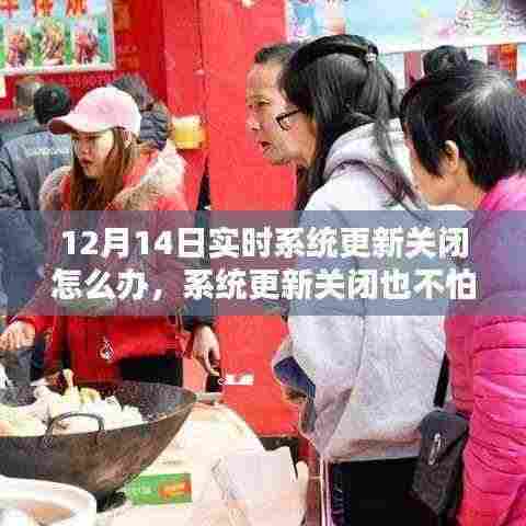 系统更新关闭也不怕，与自然美景相约的应对之策