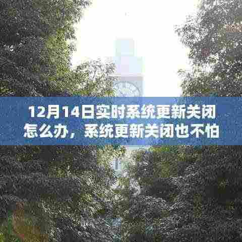 系统更新关闭也不怕,与自然美景相约的应对之策