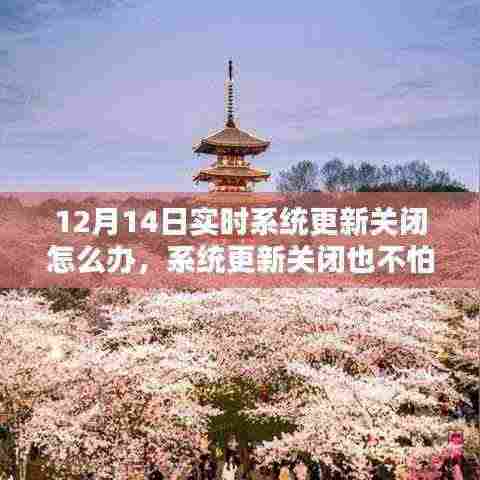 系统更新关闭也不怕,与自然美景相约的应对之策